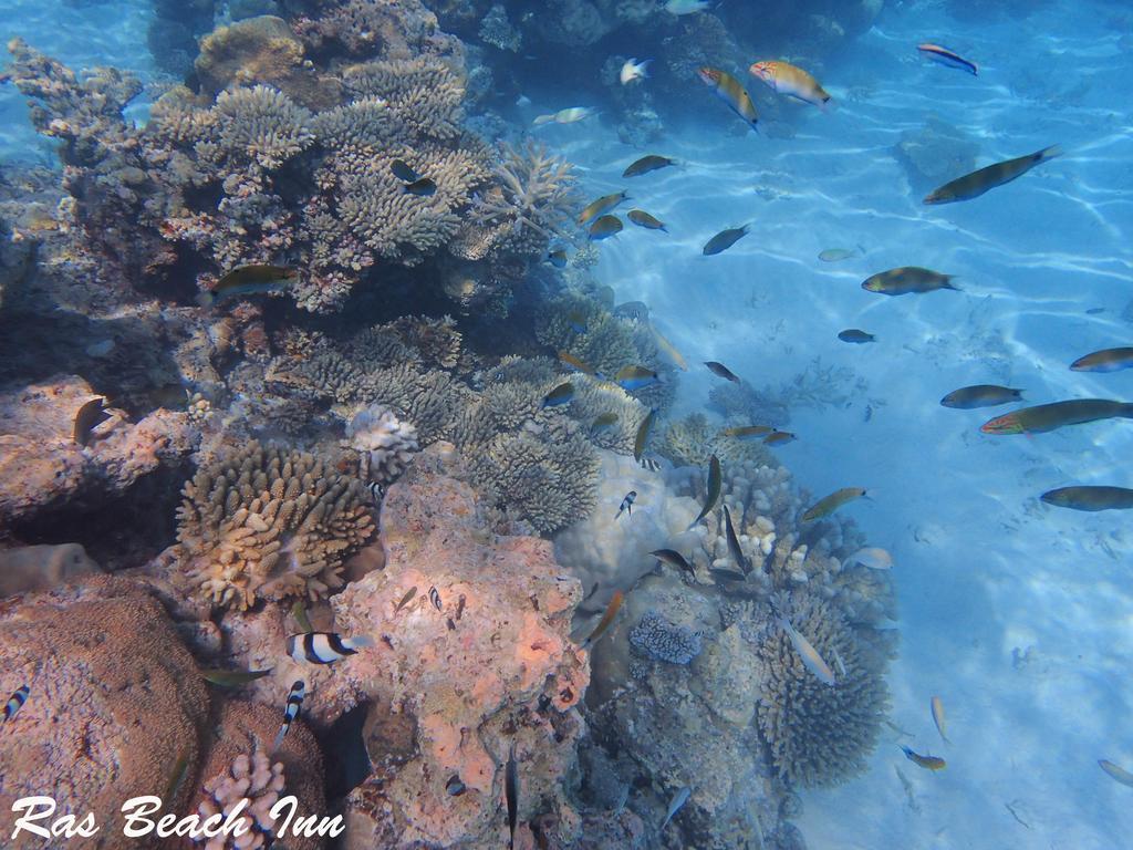 Ras Beach Inn Rasdhoo Εξωτερικό φωτογραφία