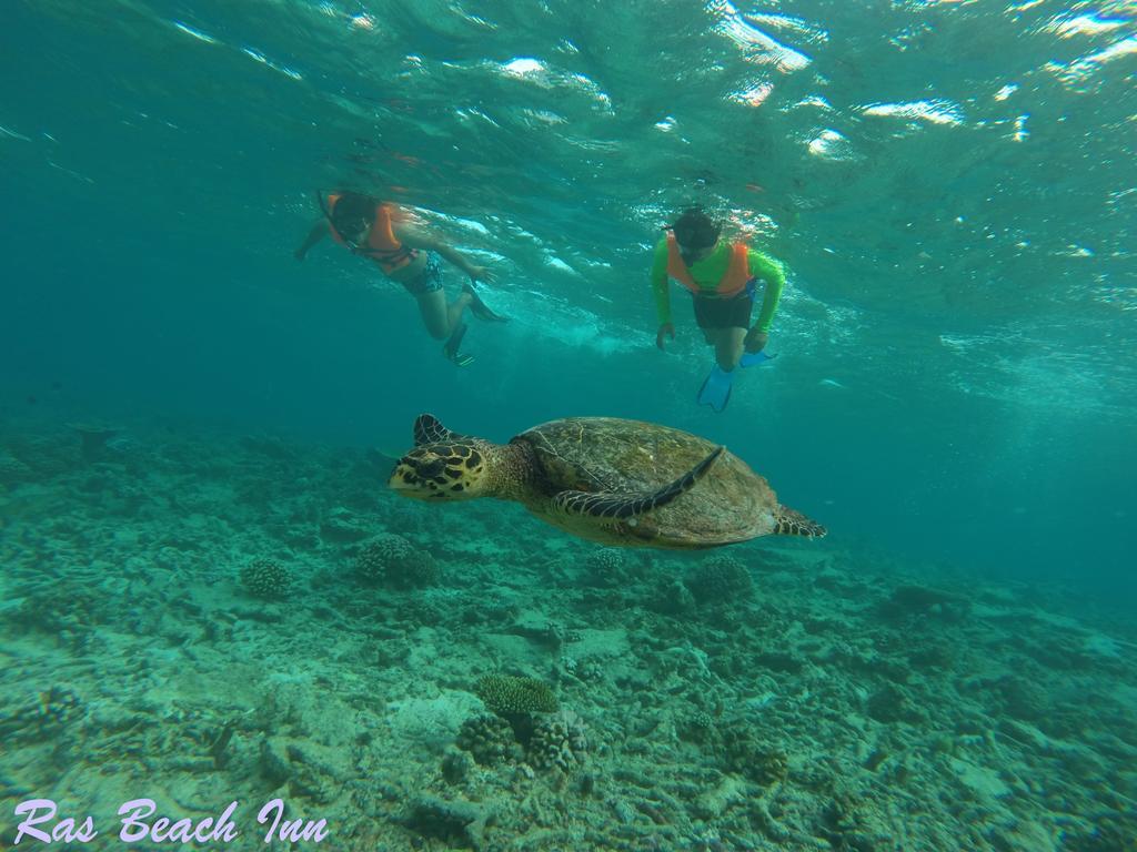 Ras Beach Inn Rasdhoo Εξωτερικό φωτογραφία