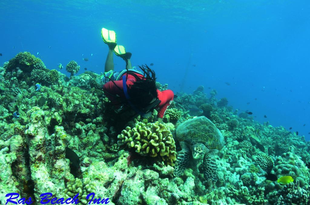 Ras Beach Inn Rasdhoo Εξωτερικό φωτογραφία
