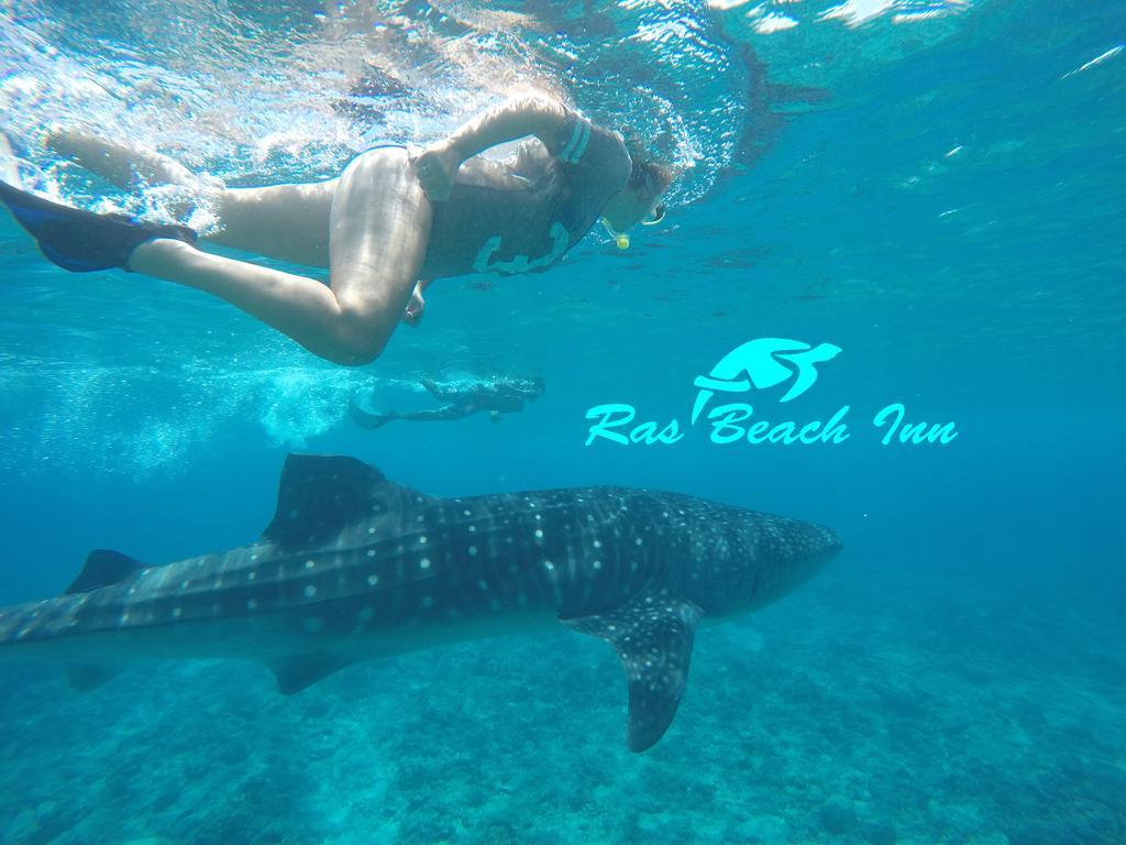 Ras Beach Inn Rasdhoo Εξωτερικό φωτογραφία